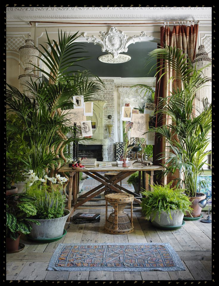 a room filled with lots of potted plants next to a table and chair in front of a mirror