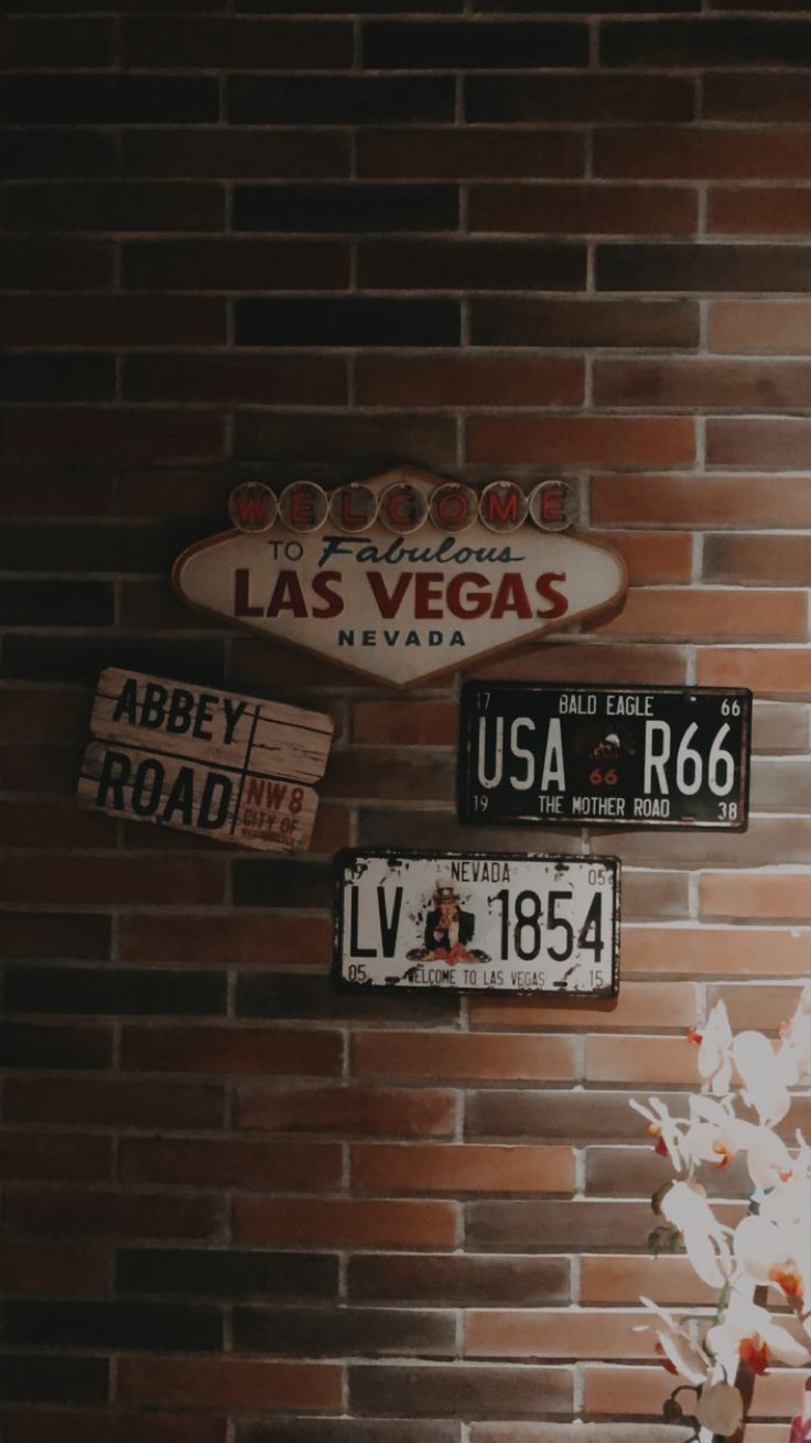 three license plates are hanging on the wall next to a vase with flowers in it