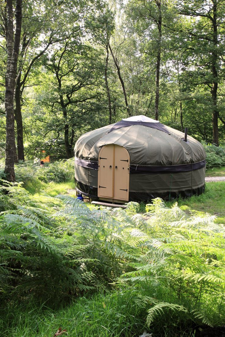 a yurt in the woods surrounded by tall grass