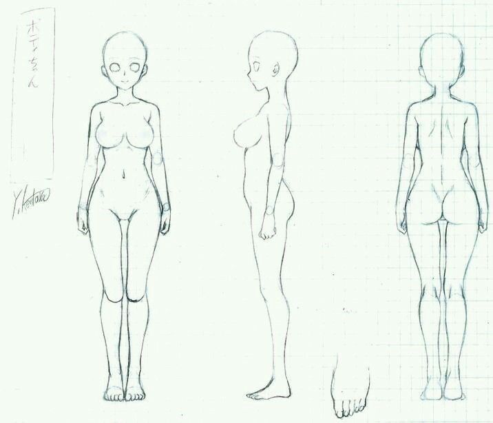 three female body shapes are shown in this drawing