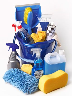 a bucket filled with cleaning supplies and sponges