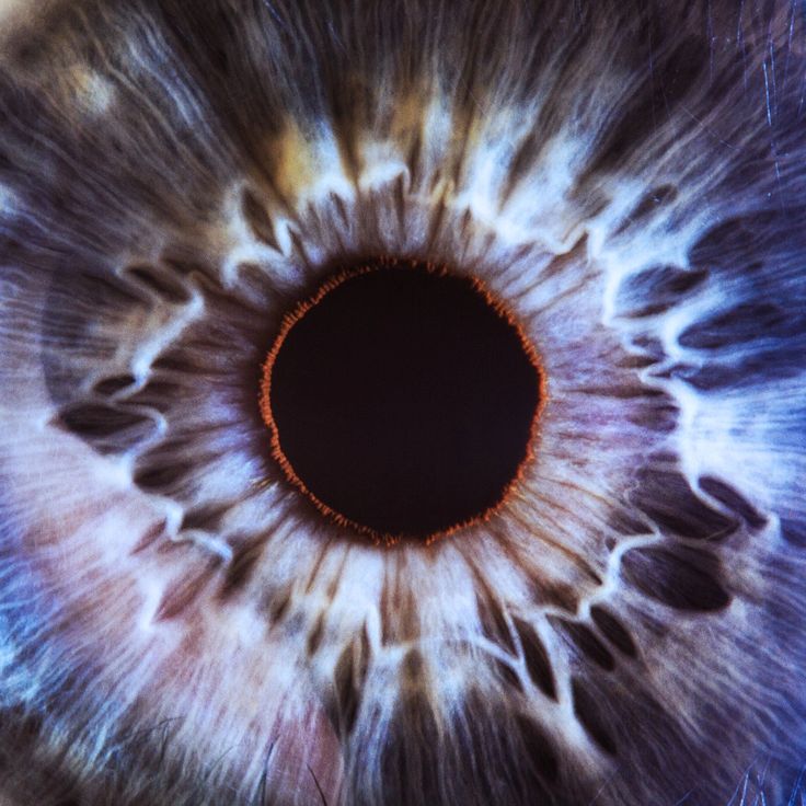 the iris of an eye is shown in this image