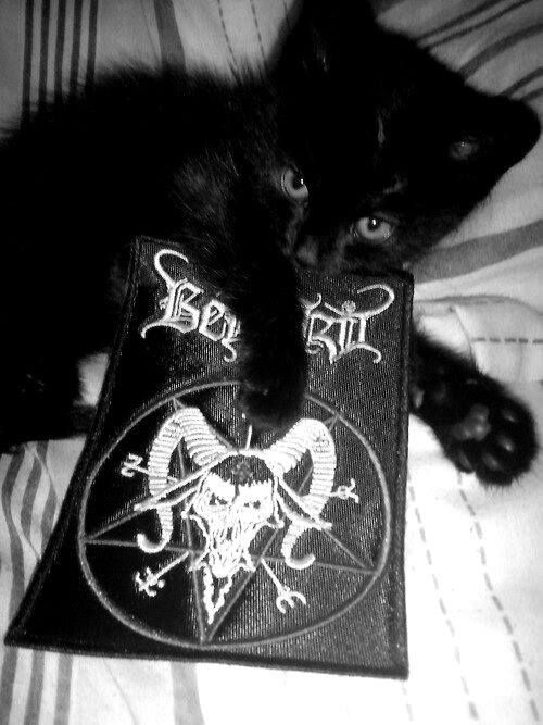 a black kitten laying on top of a bed next to a book with the word slayer written on it