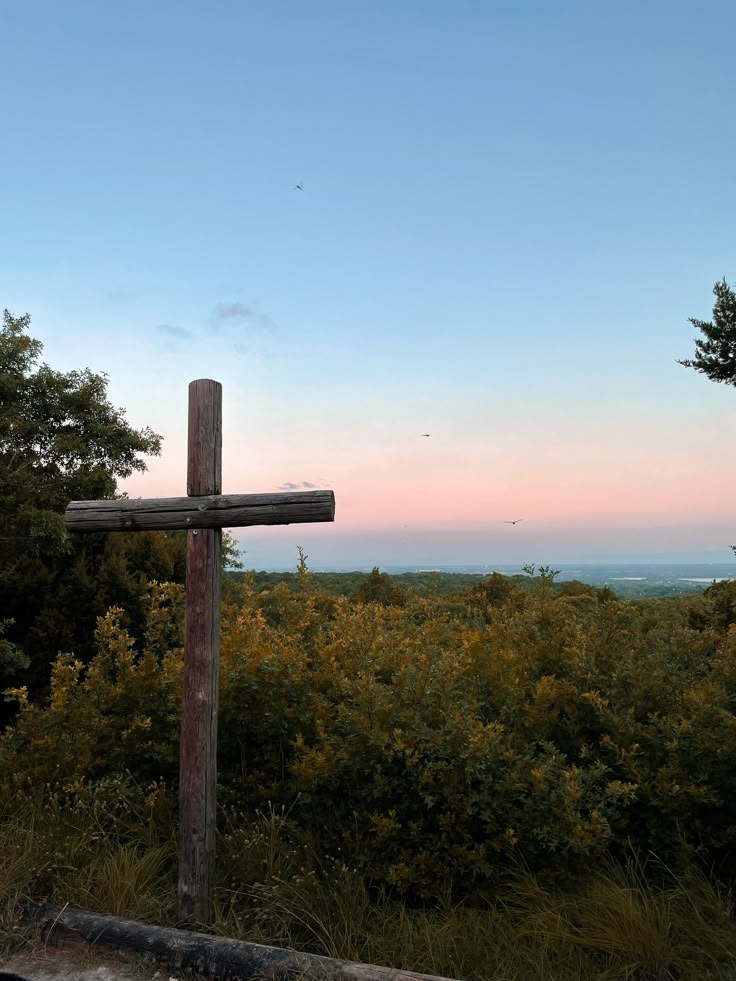 a wooden cross sitting on top of a lush green field