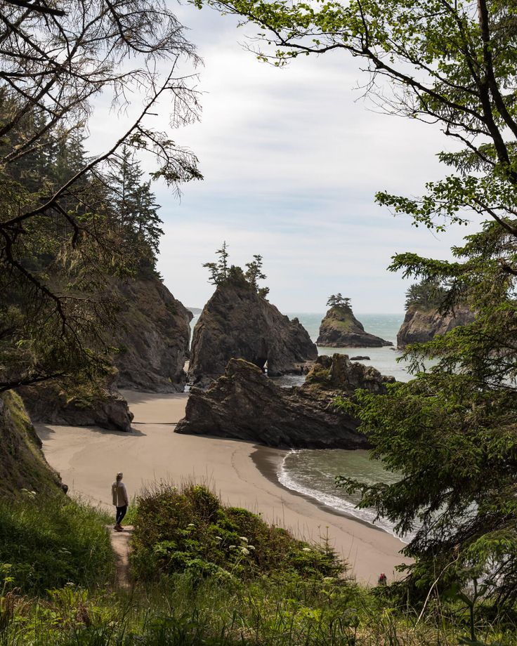 a man standing on top of a sandy beach next to the ocean near some trees