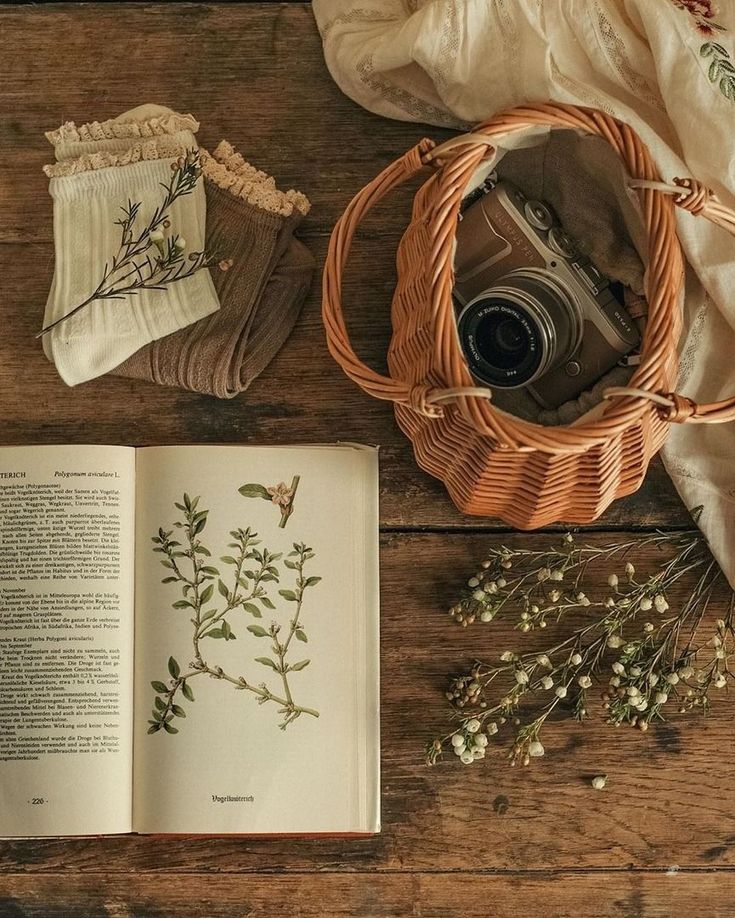 an open book sitting on top of a wooden table next to a camera and flowers