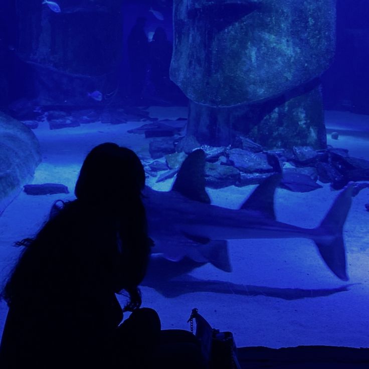 a woman is looking at sharks in an aquarium