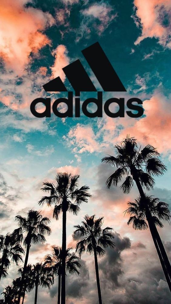 the adidas logo is surrounded by palm trees in front of a cloudy blue sky