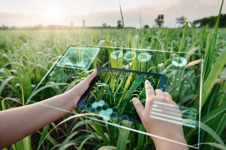 two hands holding an electronic tablet in a field