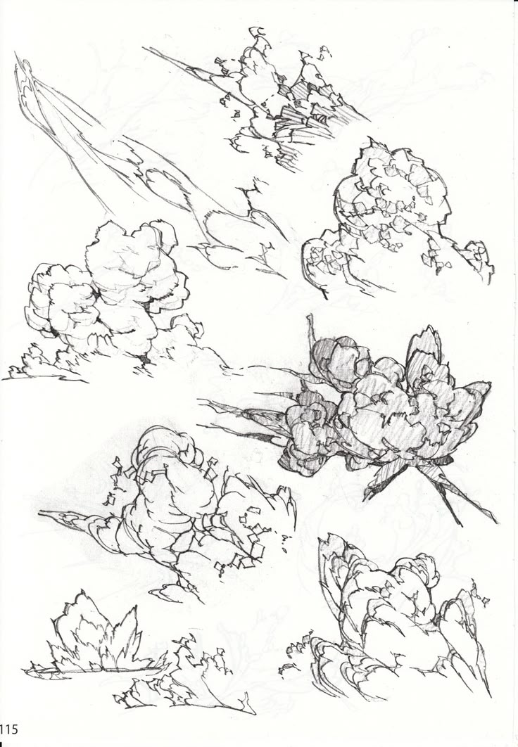 a drawing of flowers and trees in the sky