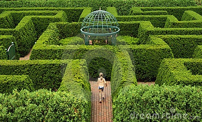 a person walking through a maze in the middle of a garden