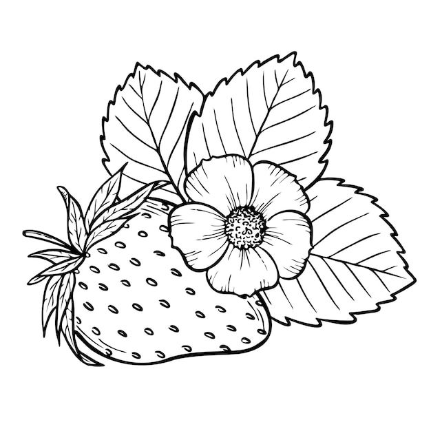 a strawberry with leaves and flowers on it