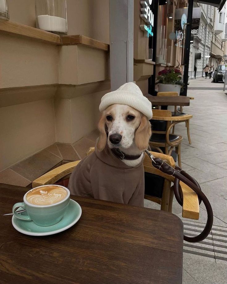 a dog wearing a sweater and hat sitting at a table with a cup of coffee