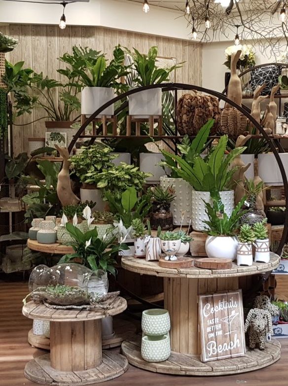 a room filled with lots of potted plants and other things on display in it