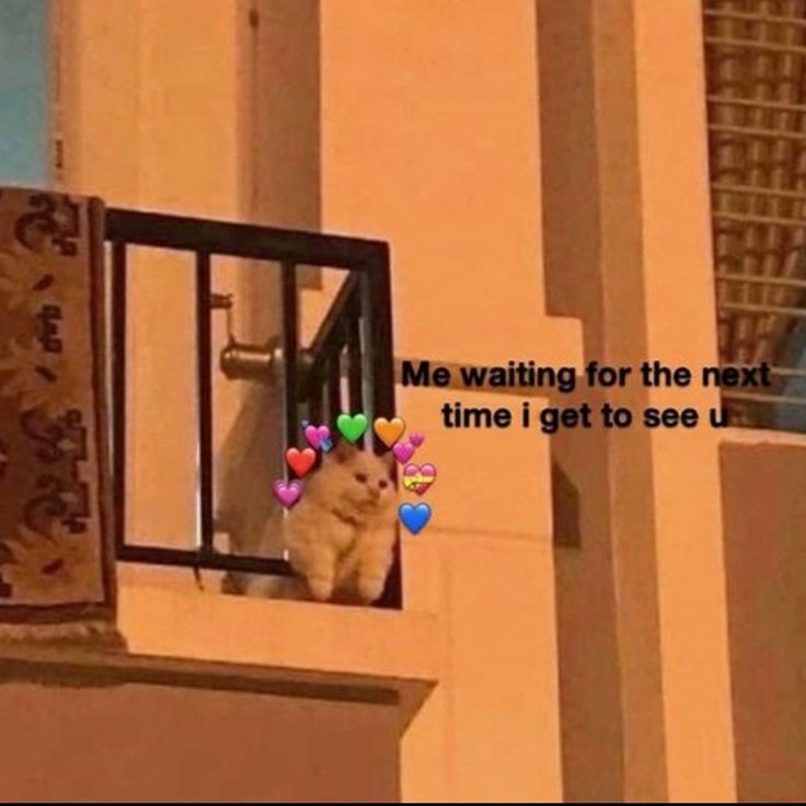 a cat sitting on top of a window sill looking out at the street below