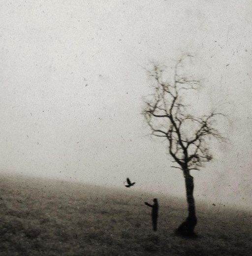 a person standing next to a tree with a bird flying over it on a foggy day