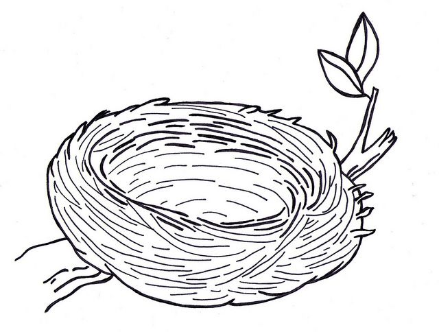 a drawing of a bird's nest with a single branch sticking out of it