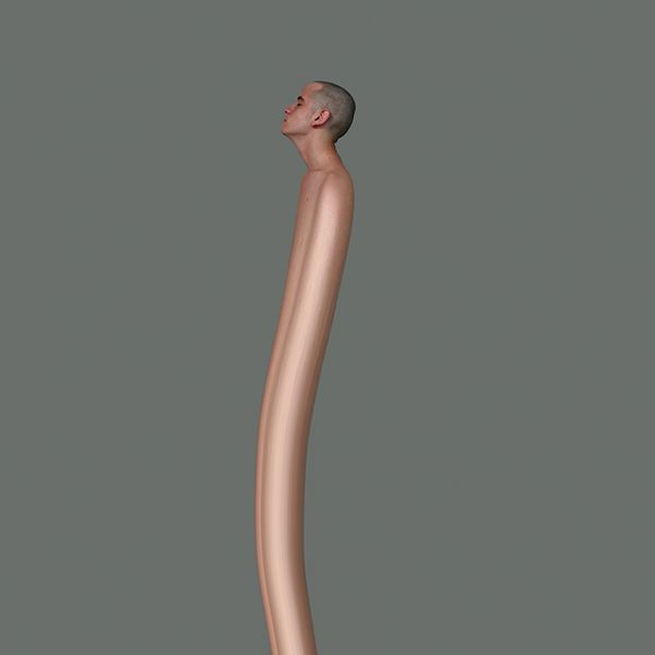 an image of a man's head and neck in the shape of a long bone