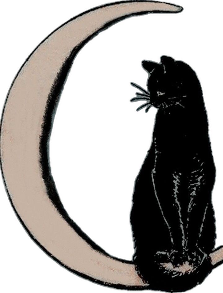 a black cat sitting on top of a crescent moon