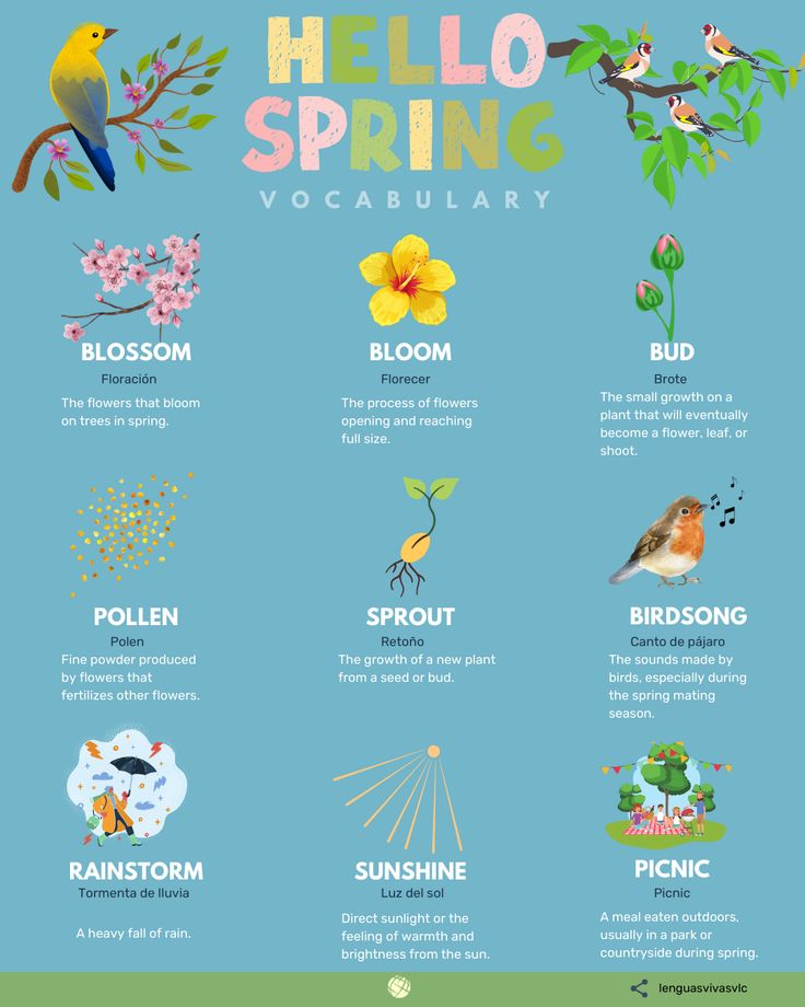 a poster with different types of flowers and birds