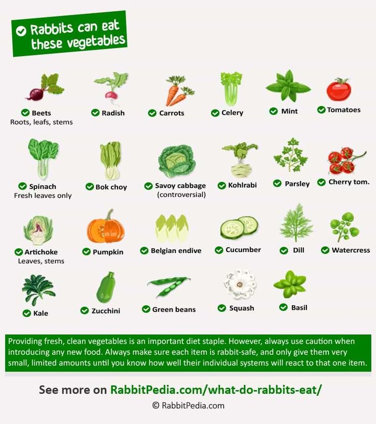 an image of vegetables that are labeled in green and red colors with the words rabbits can eat these vegetables