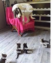 a dog is sitting on a chair with kittens in front of it and the caption reads history teacher less ms hamilton fans