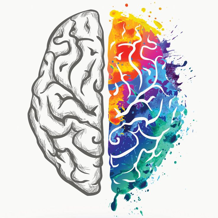 the left and right side of a human brain painted in watercolor on white paper