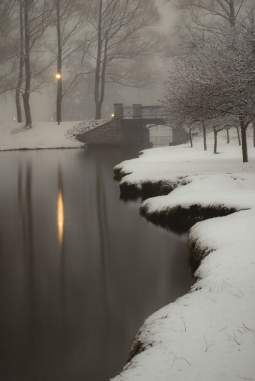 a river with snow on the ground next to trees and lights in the distance at night