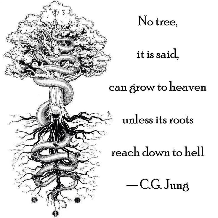 a drawing of a tree with roots and a quote from c g jung on it