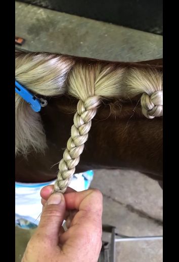 a person is holding a horse's tail with two braids attached to it