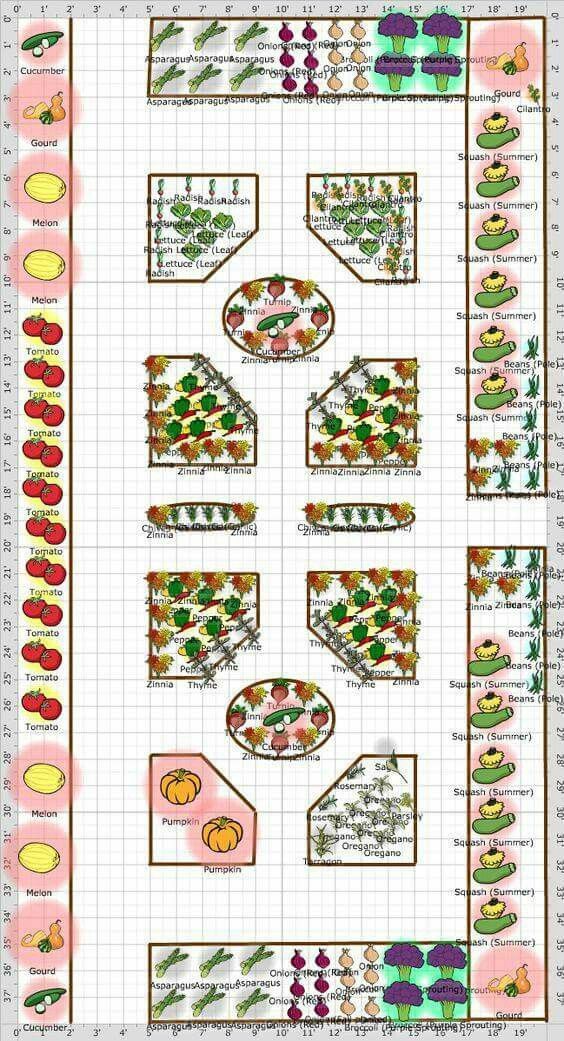 a garden plan with lots of different plants and flowers on the top right hand side