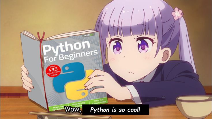 Anime Coding Aesthetic, Programming Aesthetic Girl, Python Programming Aesthetic, Anime Programmer, Programmer Girl Aesthetic, Compsci Aesthetic, Anime Programming, Coding Girl, Programming Aesthetic