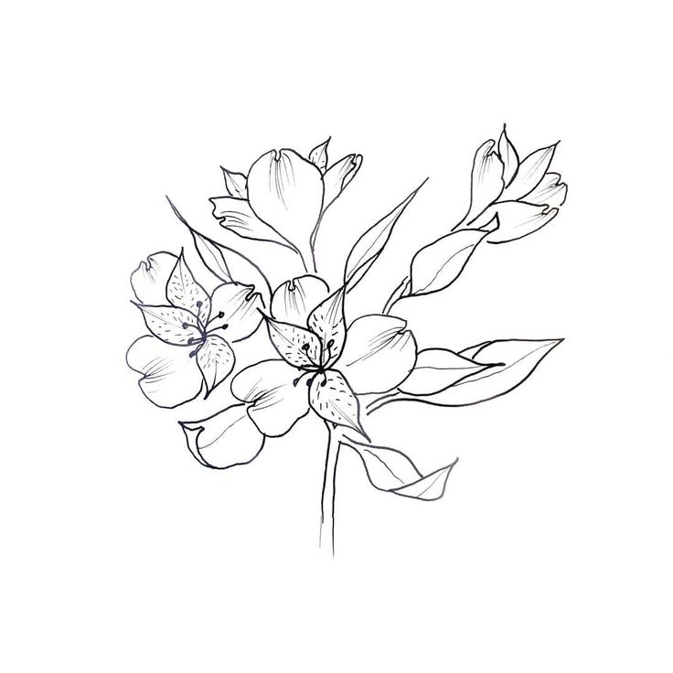 a black and white drawing of some flowers