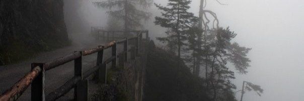 a foggy mountain road with trees on both sides and a fence in the foreground