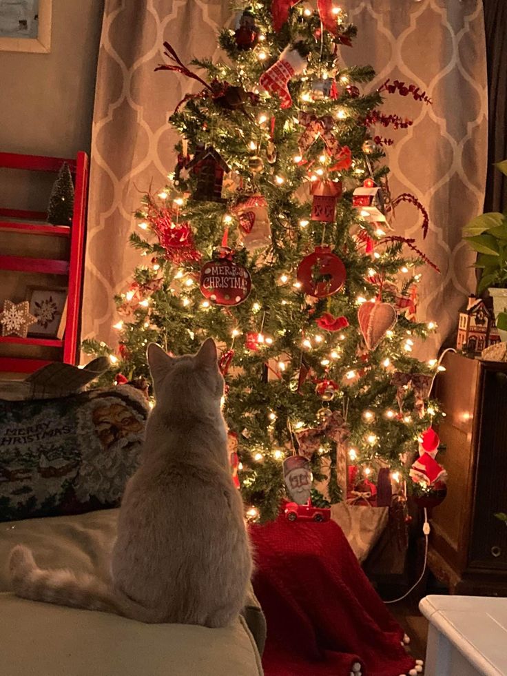 a cat sitting on a couch in front of a christmas tree with lights and ornaments