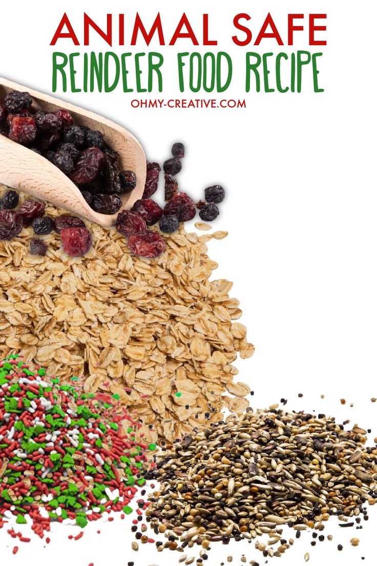 an animal safe reindeer food recipe with sprinkles, seeds and cranberries