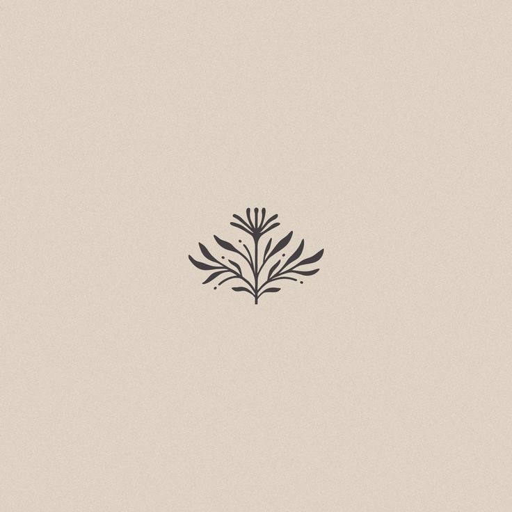 a black and white drawing of a plant on a light colored background with the words,