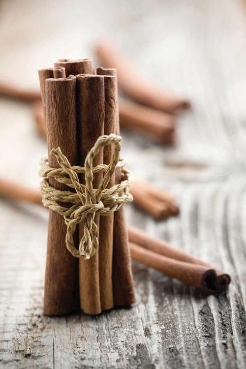 cinnamon sticks tied up with twine on wooden table next to cinnamons and spices