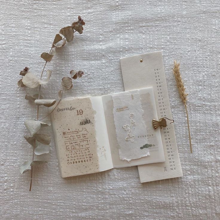 an open book sitting on top of a table next to some dried flowers and leaves