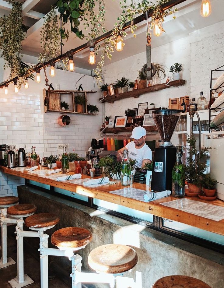 a man working behind the counter in a restaurant with plants hanging from the ceiling and potted plants on the shelves