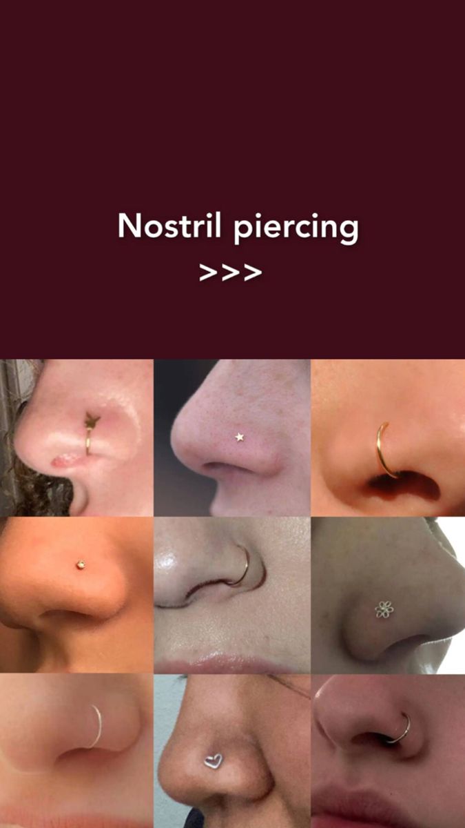 nose piercings with different shapes and sizes