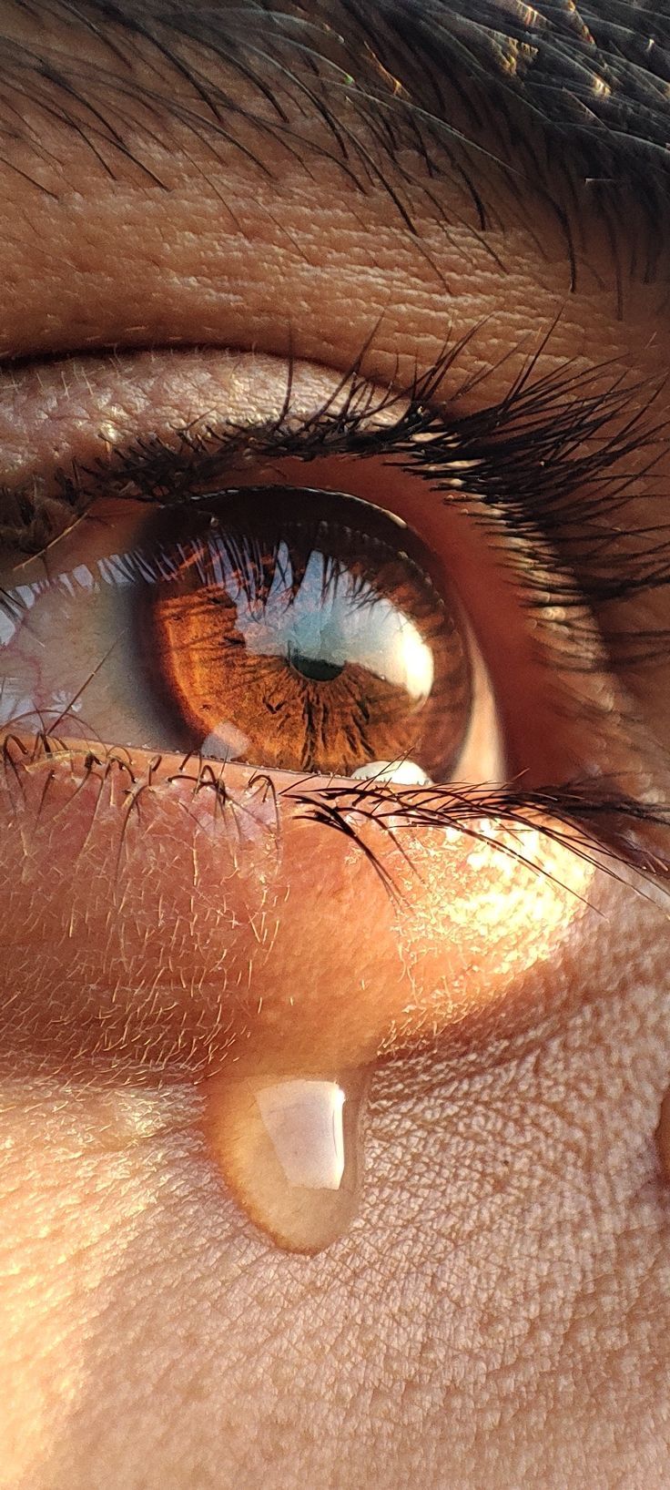 a close up view of an eye with water drops on it's iris area