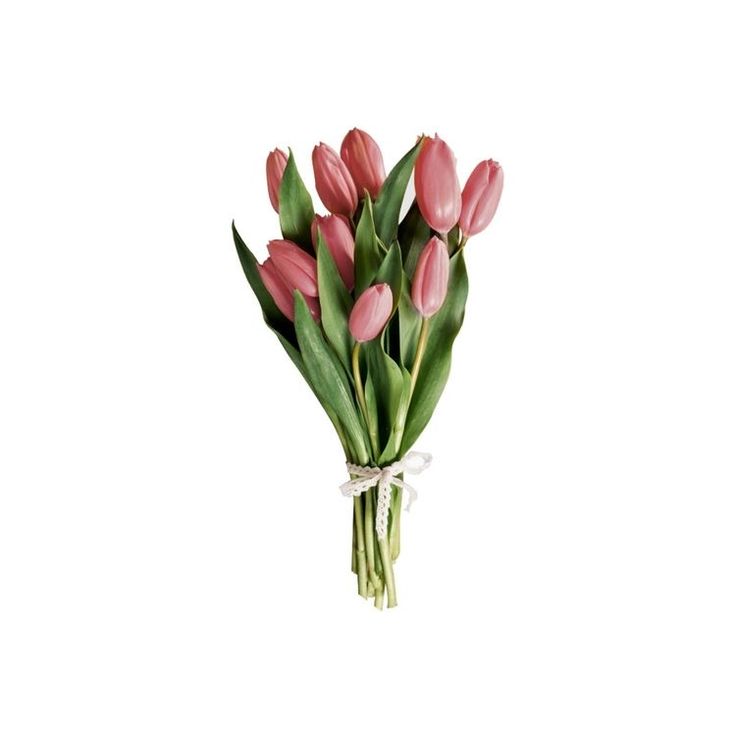 a bouquet of pink tulips tied with a white ribbon on a white background