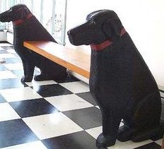 two black dogs sitting on top of a checkered floor in front of a window