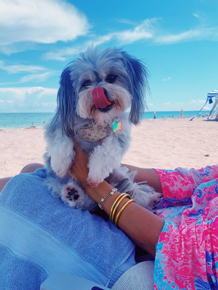 a woman holding a small dog on her lap while sitting in the sand at the beach