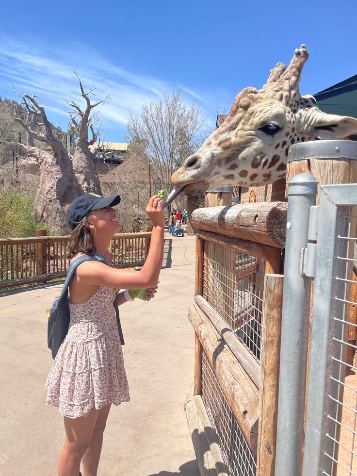 a girl feeding a giraffe at the zoo