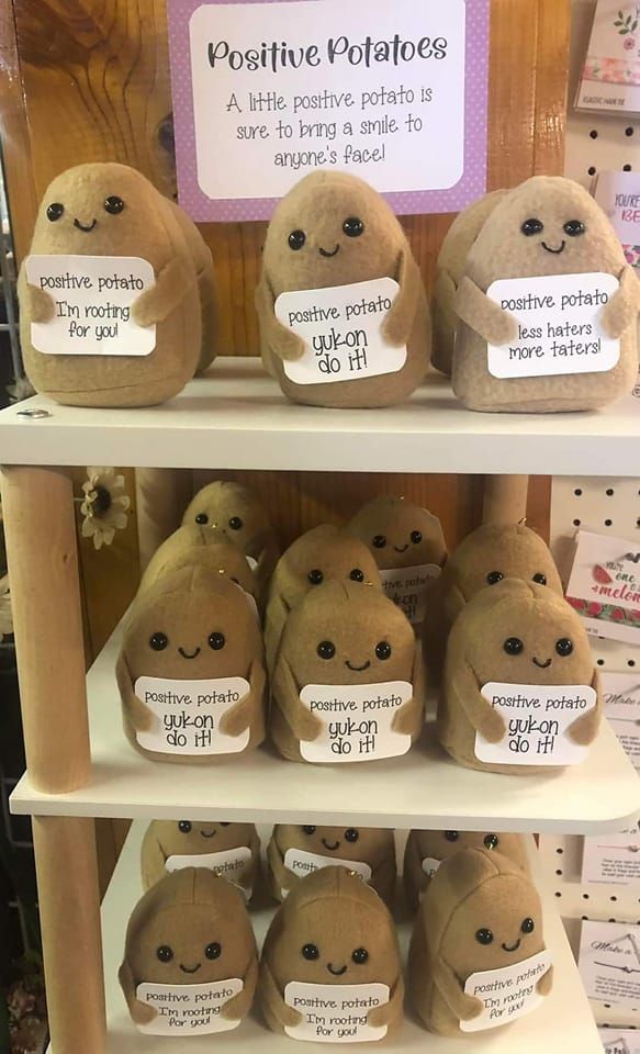 some stuffed animals are sitting on shelves with price tags in front of them and one is labeled positive potatoes