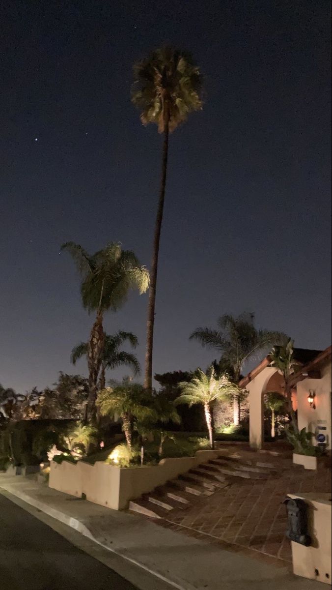 palm trees are lit up at night in front of a house