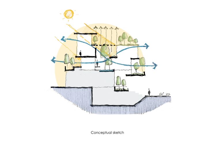 the diagram shows how trees are connected to each other and where they can be seen