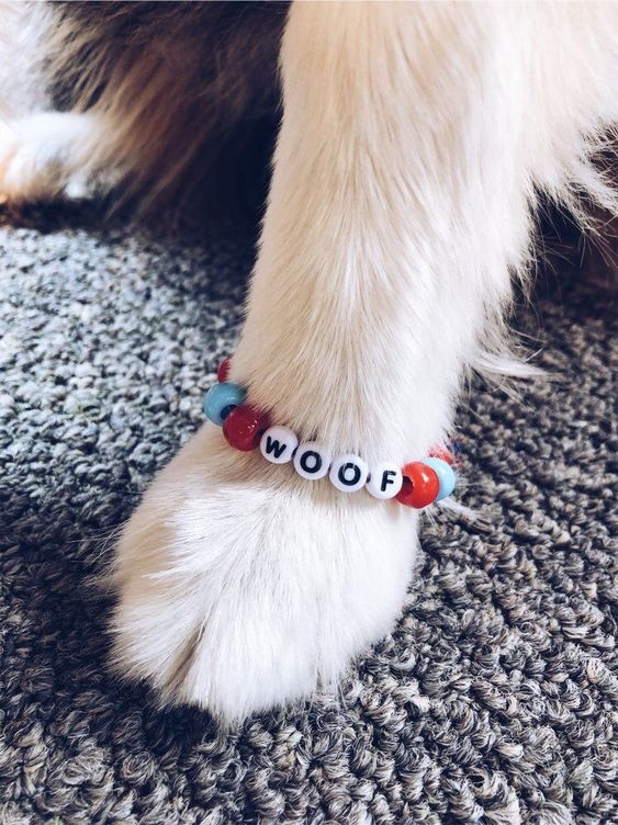 a close up of a dog's foot wearing a beaded bracelet